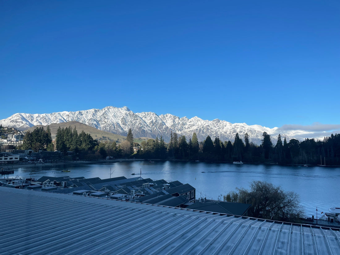 Conquering Queenstown with Tiny Travellers